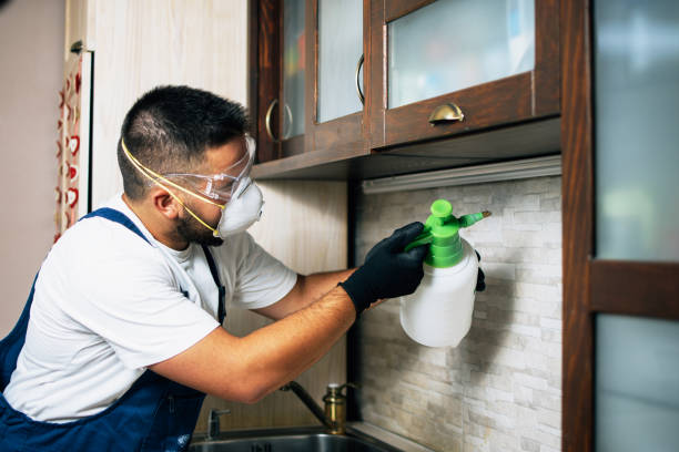 Insect Control in Homewood, IL
