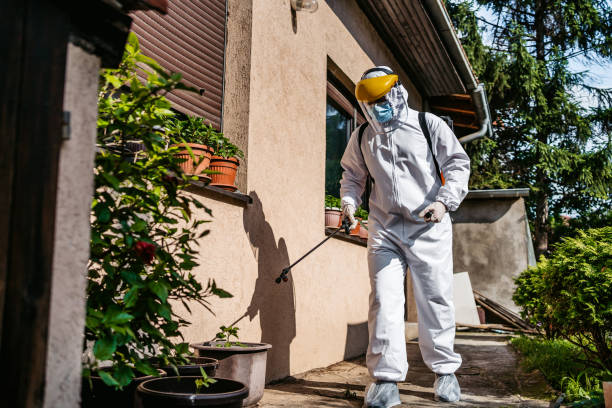 Best Emergency Pest Control  in Homewood, IL