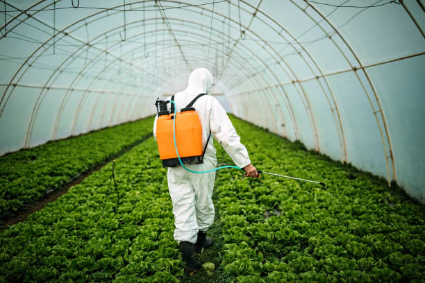 Best Affordable Pest Control Services  in Homewood, IL