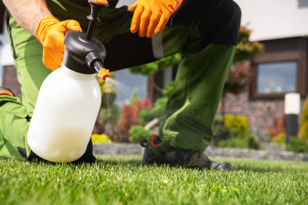 Best Commercial Pest Control Services  in Homewood, IL