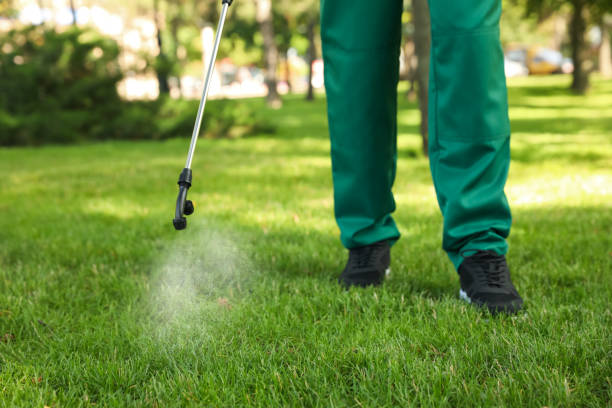  Homewood, IL Pest Control Pros