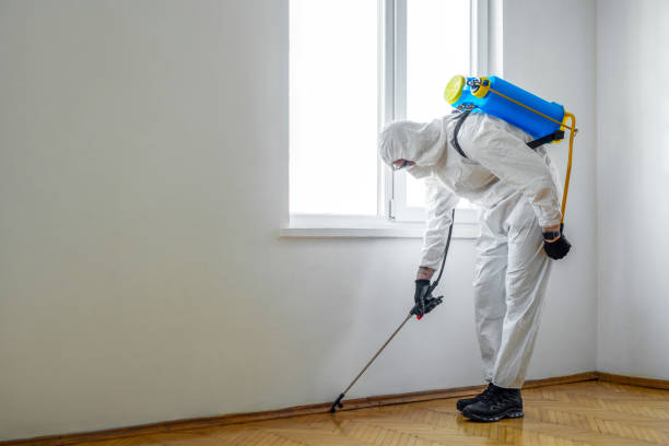 Trusted Homewood, IL Pest Control Experts