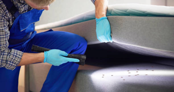 Best Residential Pest Control  in Homewood, IL