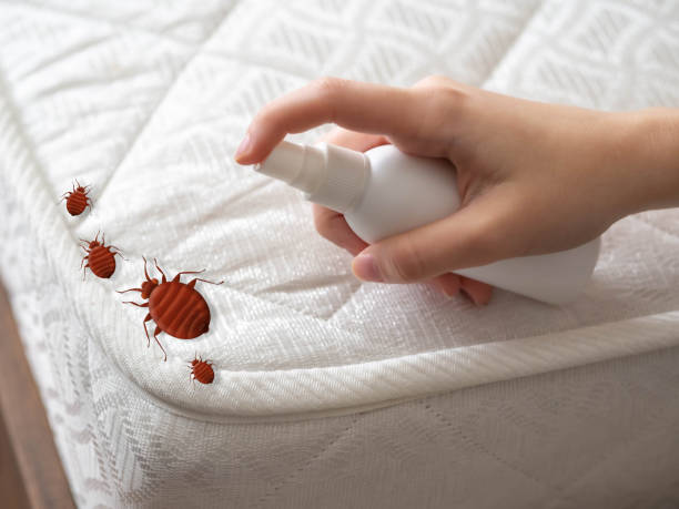 Best Bed Bug Extermination  in Homewood, IL