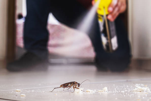 Best Pest Control Cost  in Homewood, IL