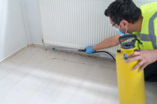 Best Exterminator Services  in Homewood, IL