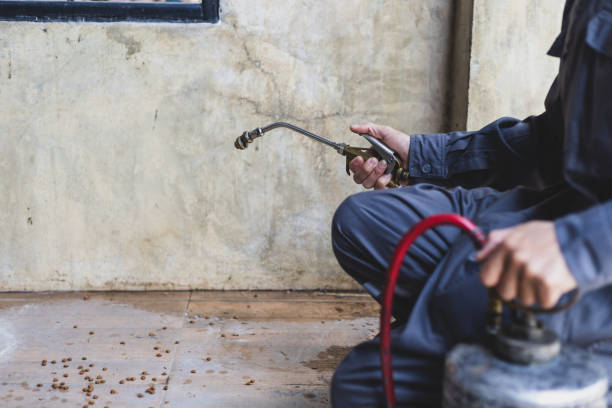 Pest Control Cost in Homewood, IL